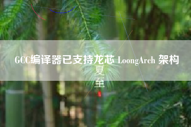 GCC编译器已支持龙芯 LoongArch 架构