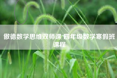 傲德数学思维双师课 四年级数学寒假班课程