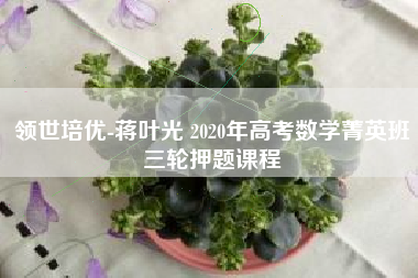 领世培优-蒋叶光 2020年高考数学菁英班三轮押题课程