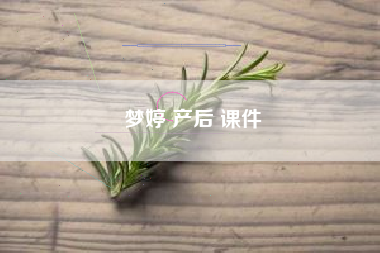 梦婷 产后 课件