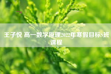 王子悦 高一数学原理2022年寒假目标S班课程