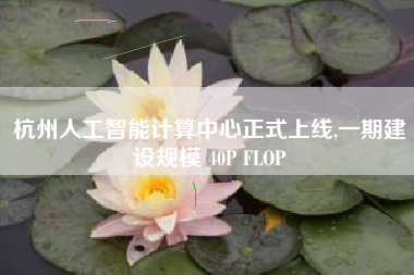 杭州人工智能计算中心正式上线,一期建设规模 40P FLOP