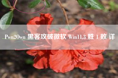 Pwn2Own 黑客攻破微软 Win11,3 胜 1 败 详