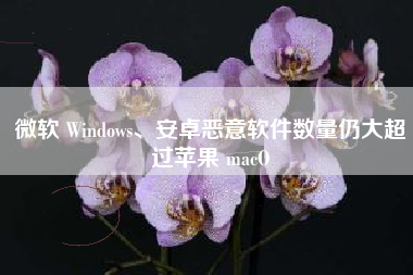 微软 Windows、安卓恶意软件数量仍大超过苹果 macO