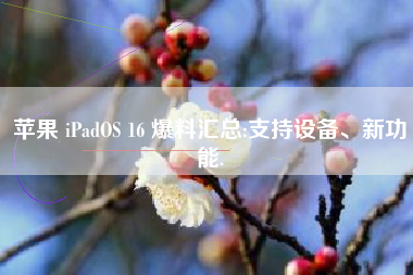 苹果 iPadOS 16 爆料汇总:支持设备、新功能.