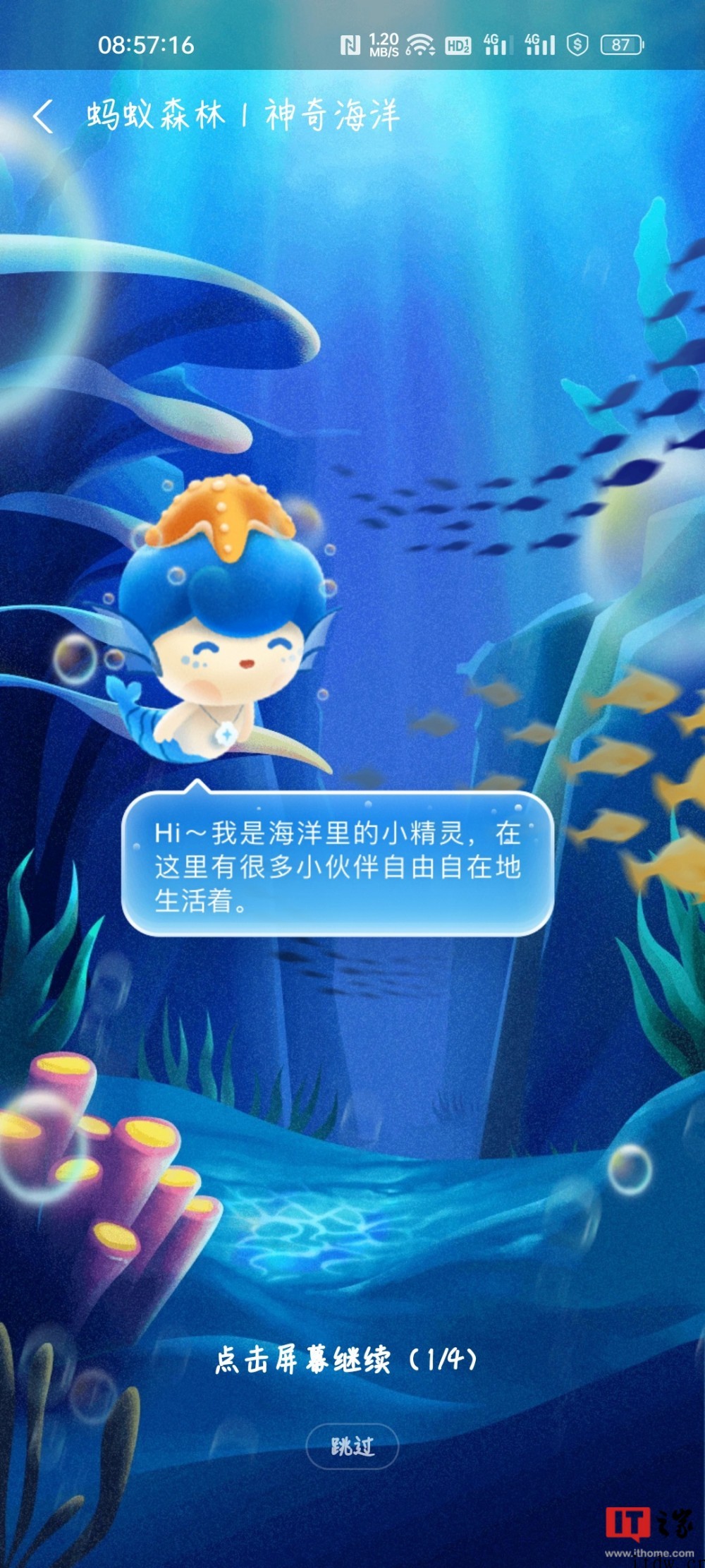 支付宝蚂蚁森林内测“神奇海洋”:捡垃圾、种鳗草,预计6 月初
