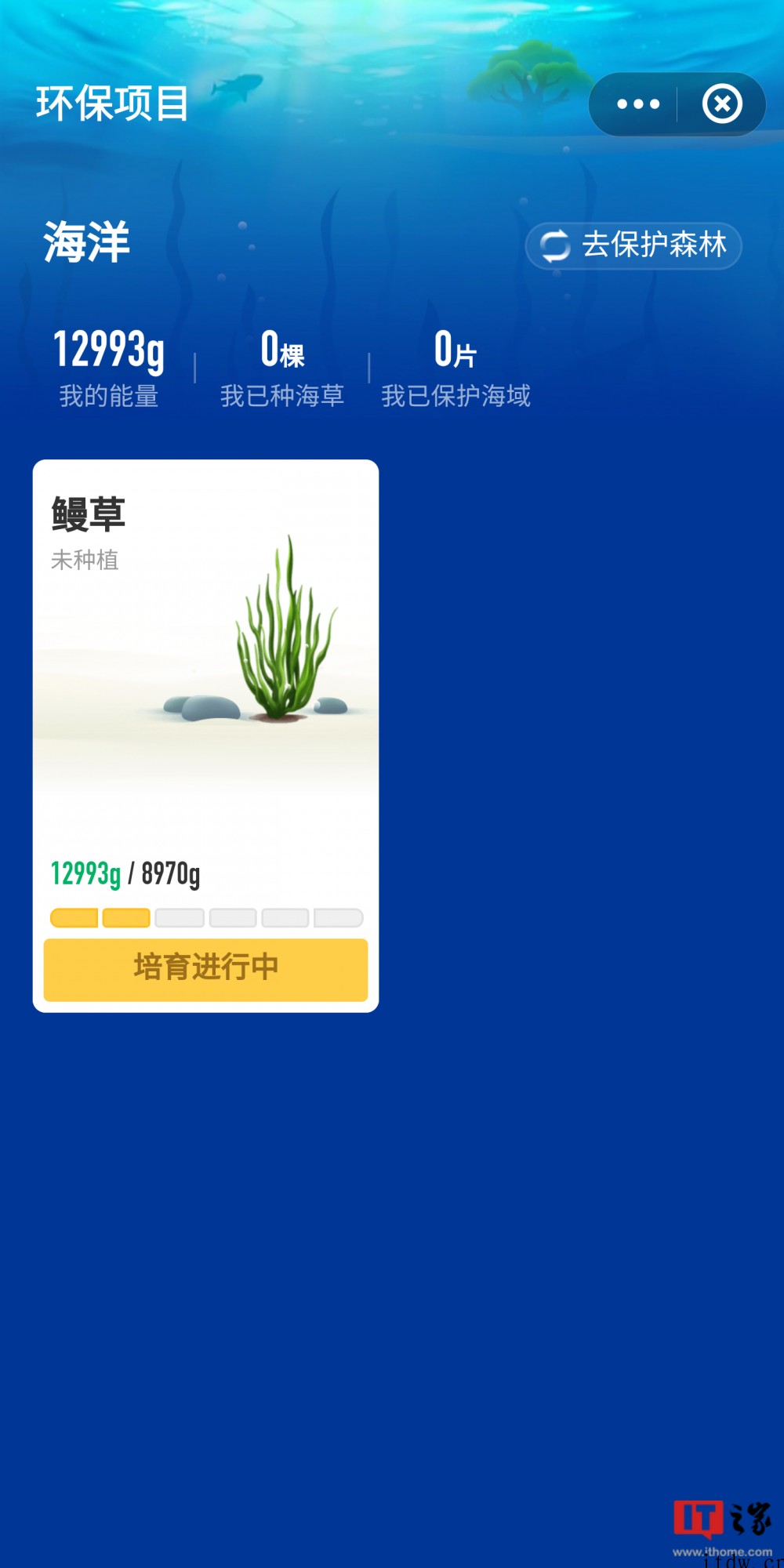 支付宝蚂蚁森林内测“神奇海洋”:捡垃圾、种鳗草,预计6 月初
