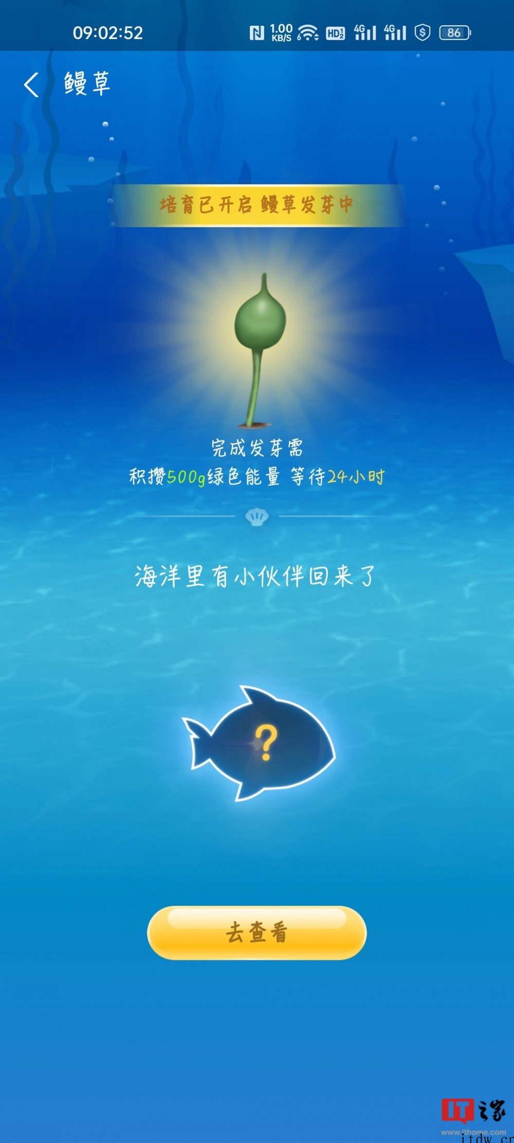 支付宝蚂蚁森林内测“神奇海洋”:捡垃圾、种鳗草,预计6 月初