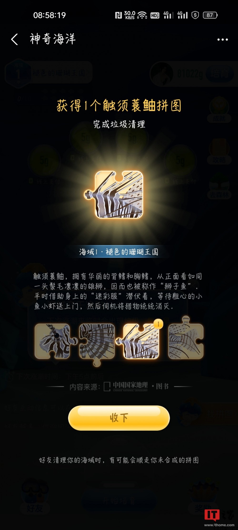 支付宝蚂蚁森林内测“神奇海洋”:捡垃圾、种鳗草,预计6 月初