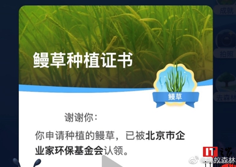支付宝蚂蚁森林内测“神奇海洋”:捡垃圾、种鳗草,预计6 月初