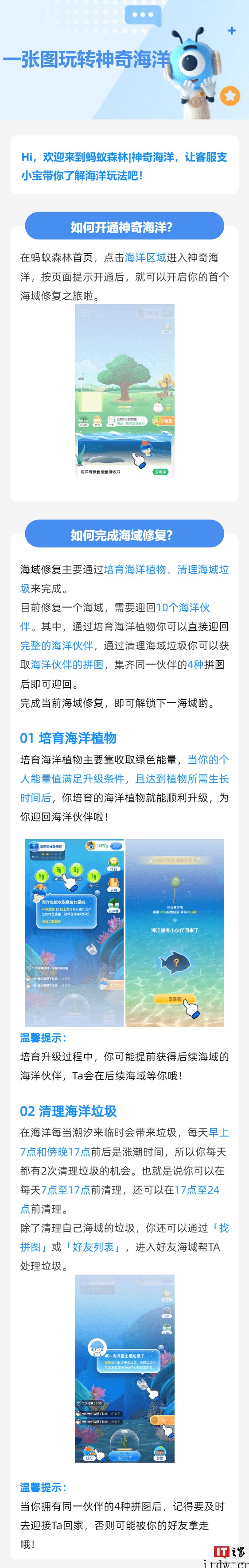支付宝蚂蚁森林内测“神奇海洋”:捡垃圾、种鳗草,预计6 月初