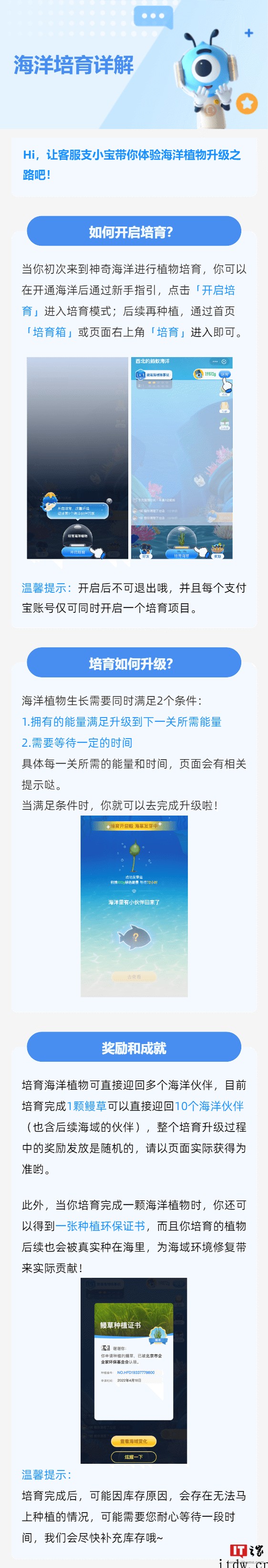 支付宝蚂蚁森林内测“神奇海洋”:捡垃圾、种鳗草,预计6 月初