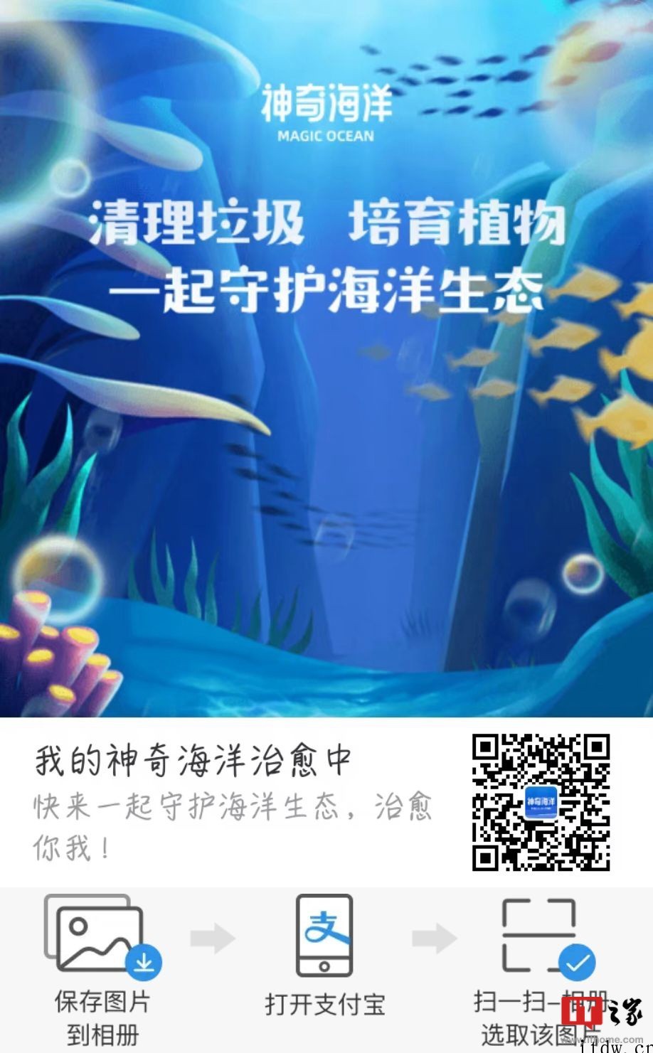 支付宝蚂蚁森林内测“神奇海洋”:捡垃圾、种鳗草,预计6 月初