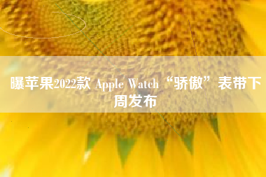 曝苹果2022款 Apple Watch“骄傲”表带下周发布