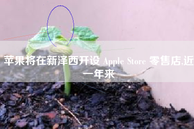 苹果将在新泽西开设 Apple Store 零售店,近一年来