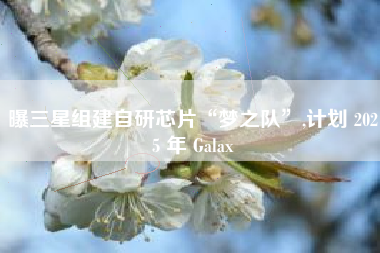 曝三星组建自研芯片“梦之队”,计划 2025 年 Galax