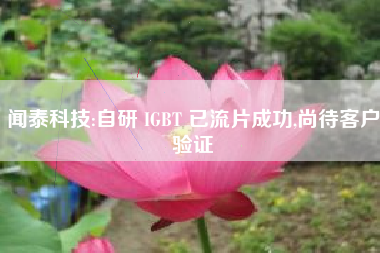 闻泰科技:自研 IGBT 已流片成功,尚待客户验证