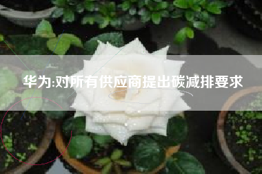 华为:对所有供应商提出碳减排要求