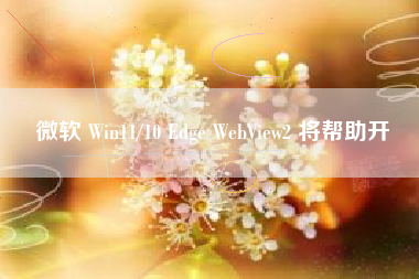 微软 Win11/10 Edge WebView2 将帮助开