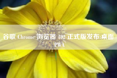 谷歌 Chrome 浏览器 102 正式版发布:桌面 PWA