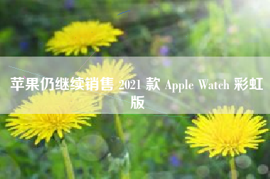 苹果仍继续销售 2021 款 Apple Watch 彩虹版