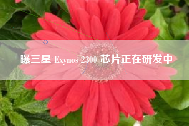 曝三星 Exynos 2300 芯片正在研发中