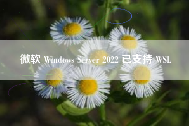 微软 Windows Server 2022 已支持 WSL