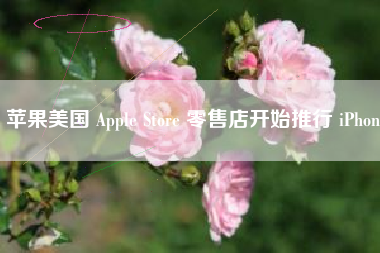 苹果美国 Apple Store 零售店开始推行 iPhon