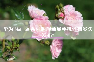 华为 Mate 50 系列旗舰新品手机还有多久发布?