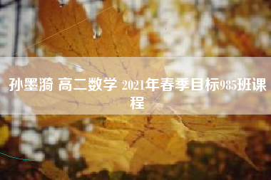 孙墨漪 高二数学 2021年春季目标985班课程