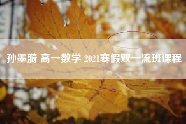 孙墨漪 高一数学 2021寒假双一流班课程