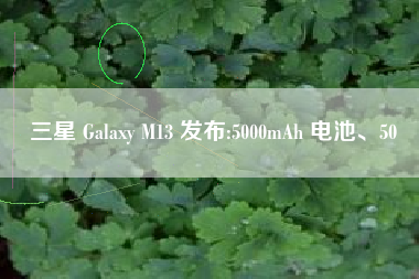 三星 Galaxy M13 发布:5000mAh 电池、50