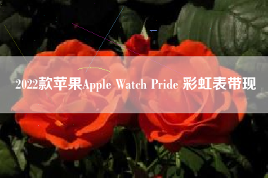 2022款苹果Apple Watch Pride 彩虹表带现