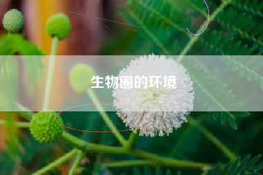 生物圈的环境