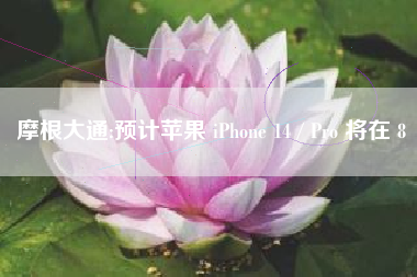 摩根大通:预计苹果 iPhone 14 / Pro 将在 8