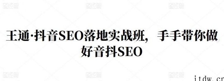 王通·抖音SEO落地实战班，手手带你做好音抖SEO