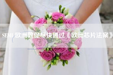 SEMI 欧洲敦促尽快通过欧洲芯片法案