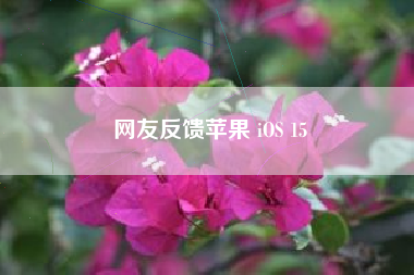 网友反馈苹果 iOS 15