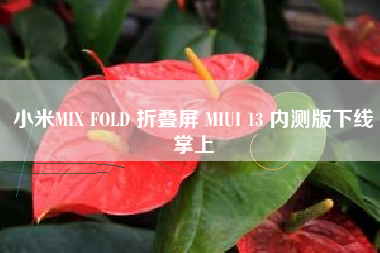 小米MIX FOLD 折叠屏 MIUI 13 内测版下线掌上