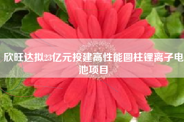 欣旺达拟23亿元投建高性能圆柱锂离子电池项目