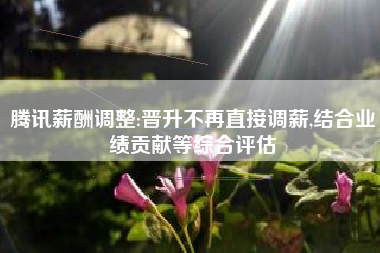 腾讯薪酬调整:晋升不再直接调薪,结合业绩贡献等综合评估
