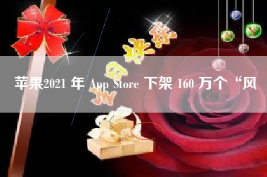 苹果2021 年 App Store 下架 160 万个“风