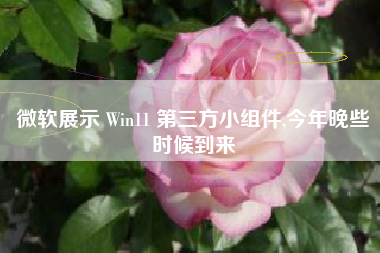 微软展示 Win11 第三方小组件,今年晚些时候到来