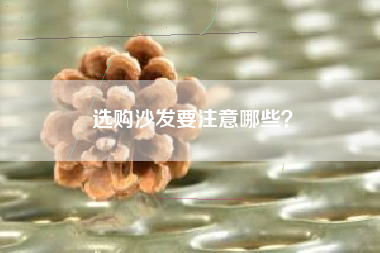 选购沙发要注意哪些？