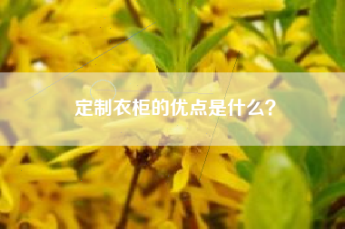 定制衣柜的优点是什么？