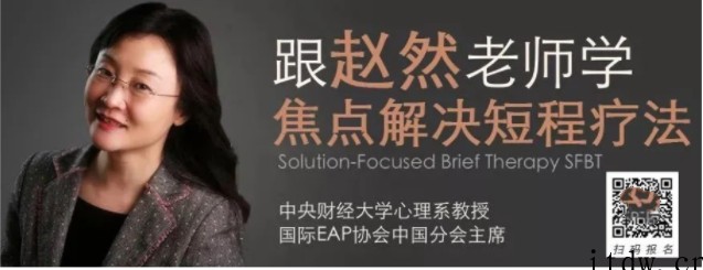 赵然 于丹妮 SFBT高效焦点解决取向治疗课程 视频课