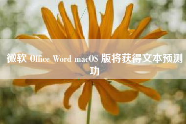 微软 Office Word macOS 版将获得文本预测功