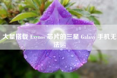 大量搭载 Exynos 芯片的三星 Galaxy 手机无法运