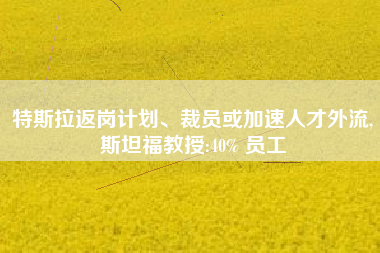 特斯拉返岗计划、裁员或加速人才外流,斯坦福教授:40% 员工