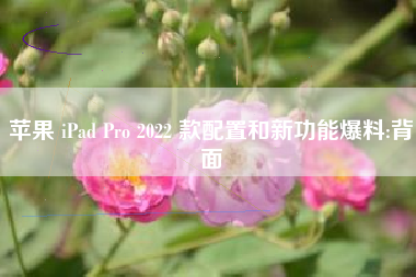 苹果 iPad Pro 2022 款配置和新功能爆料:背面